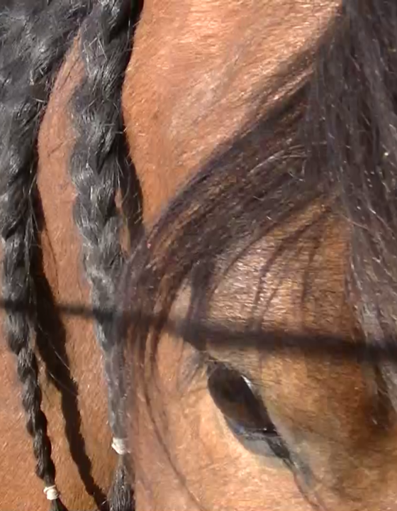 …Und dann begann die Zeit mit dem Corona Virus.