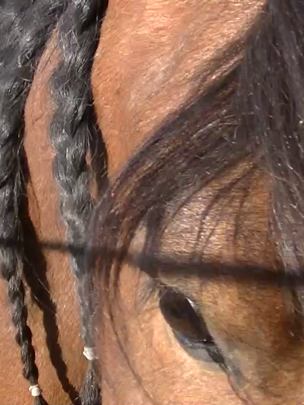 …Und dann begann die Zeit mit dem Corona Virus.